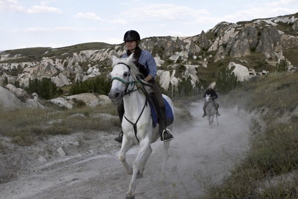 Book For Horse Riding Tours